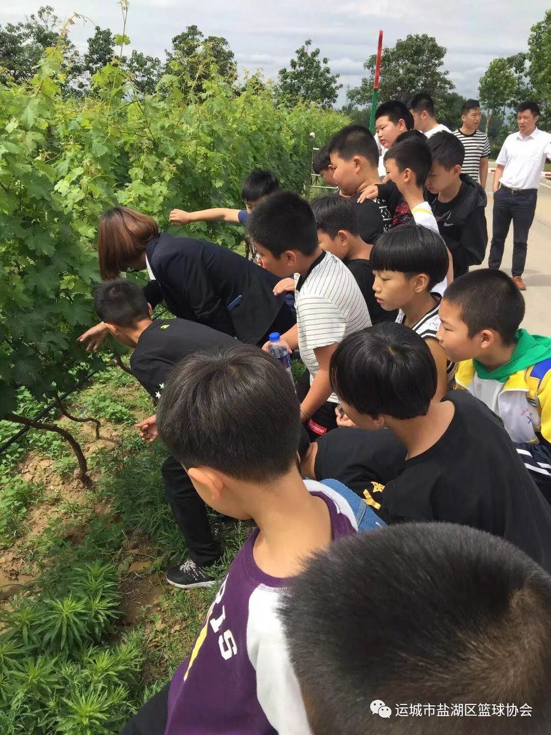 如何根据篮球比赛的不同阶段调整力量训练强度?_2
