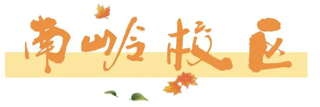 如何设计针对篮球主力的力量训练计划_2