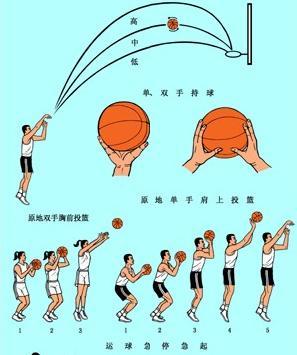 篮球训练基本动作有哪些方面的